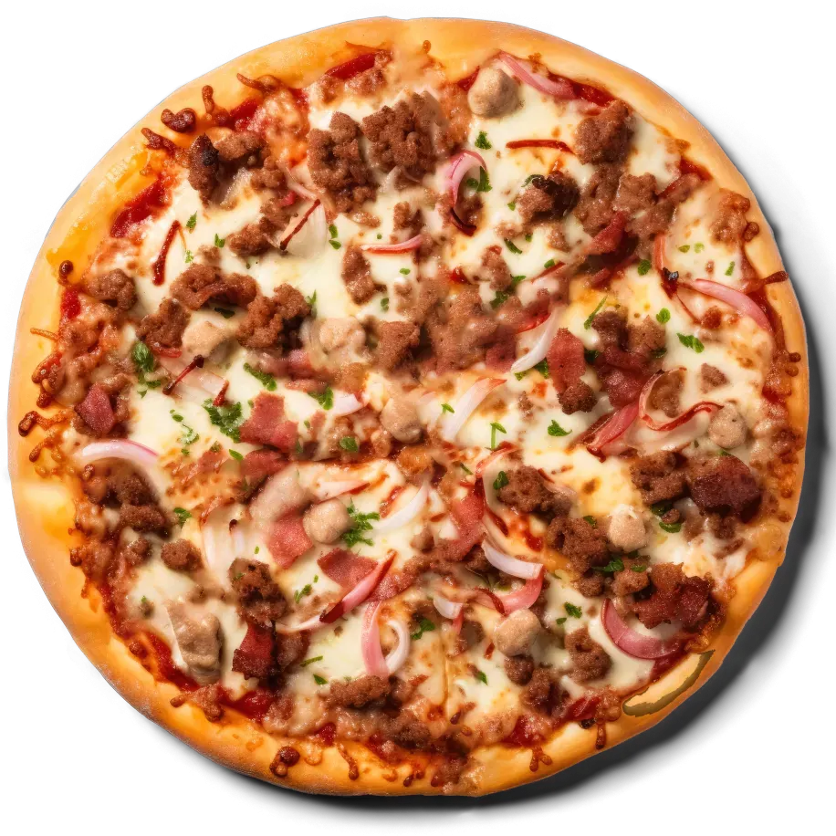 Bolognesa
